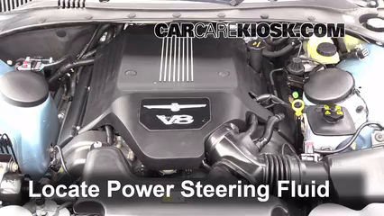 2004 Ford Thunderbird 3.9L V8 Power Steering Fluid Fix Leaks